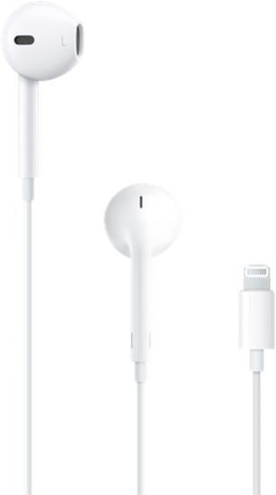 Профилактическая чистка Apple EarPods (Lightning Connector)